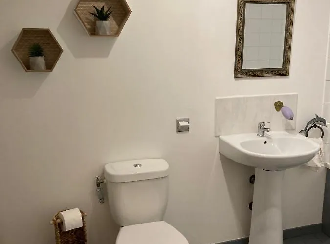 House Number 2 * Mirepoix (Ariege)